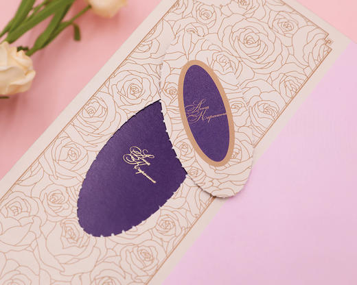 (仓发) 安娜·卡列宁娜（插图珍藏版）/人民文学出版社/[俄]列夫·托尔斯泰/9787020139286 商品图5