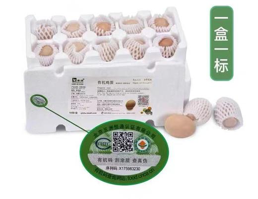 义箪稻粱有机土鸡蛋10枚装 商品图0