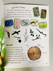 自然狩猎系列4册 英文原版 The Great Nature Hunt 4 Copy 小学自然教育科普绘本 英文版 进口英语书籍 商品缩略图3