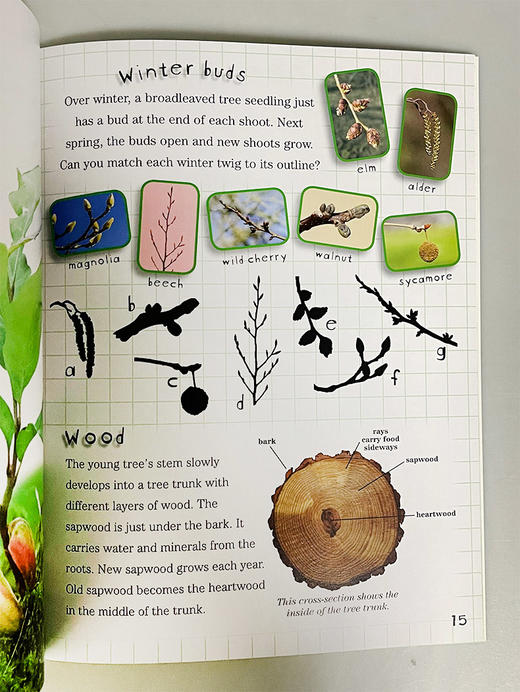 自然狩猎系列4册 英文原版 The Great Nature Hunt 4 Copy 小学自然教育科普绘本 英文版 进口英语书籍 商品图3