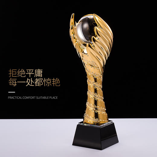【荣耀之翼】奖杯定制定做创意树脂水晶奖杯篮球足球高尔夫球比赛 商品图4