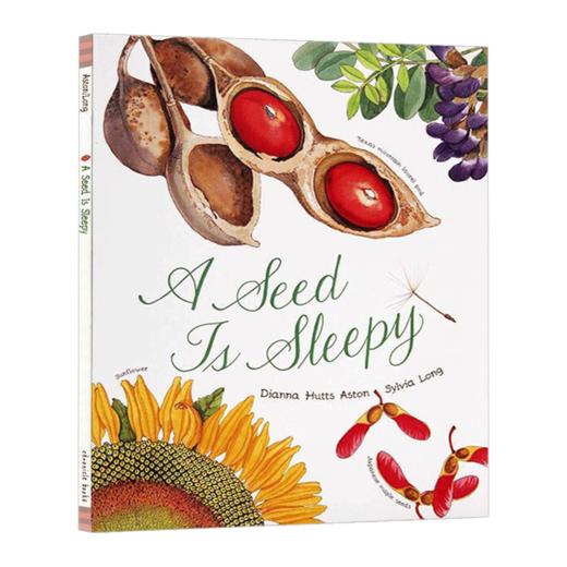 沉睡的种子 英文原版 Seed Is Sleepy 种子 如此酣睡 美丽生命成长系列 儿童英语科普百科读物 英文版进口原版课外阅读书籍 商品图1