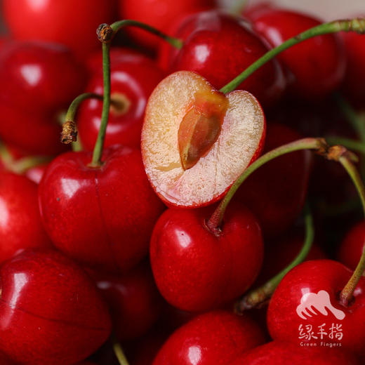 生态山西绛县樱桃 ｜合作生产* Ecological  cherry ｜Coproducted 商品图0