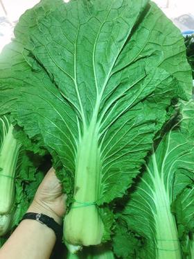白菜叶2把