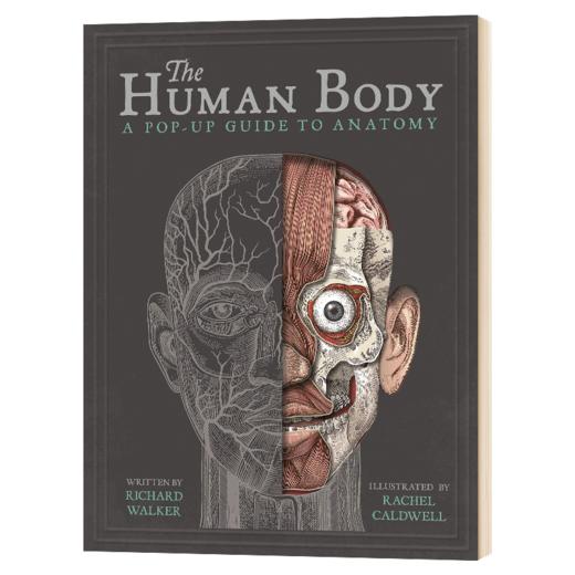 身体构造立体书 英文原版 The Human Body 英文版儿童身体健康教育科普 立体书翻翻书绘本 进口原版英语书籍 商品图1