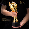 【荣耀之翼】奖杯定制定做创意树脂水晶奖杯篮球足球高尔夫球比赛 商品缩略图1