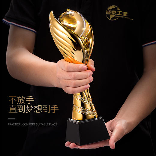 【荣耀之翼】奖杯定制定做创意树脂水晶奖杯篮球足球高尔夫球比赛 商品图1