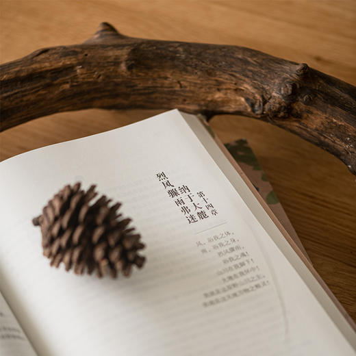 (仓发) 恰同学少年（写透青年伟人背后的故事，追寻伟人思想的形成过程，畅销14年，累计销量突破100万册，豆瓣8.6分高口碑推荐！）/湖南人民出版社/黄晖/9787543849020 商品图2