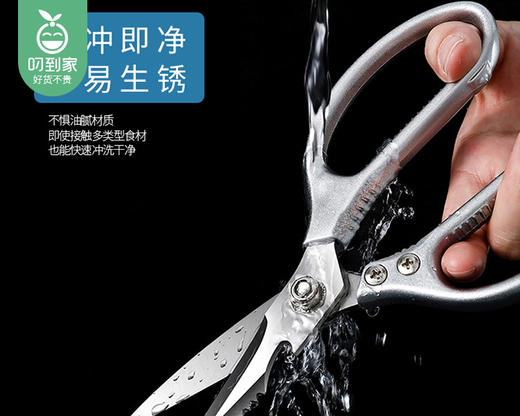 GRAREY多功能剪骨刀（1把） 商品图3