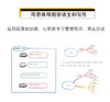 (仓发) 硅谷工程师爸爸的超强思维导图课：塑造儿童学习型大脑/中国妇女出版社/憨爸，小杨老师/9787512716889 商品缩略图5