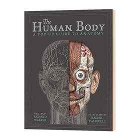 身体构造立体书 英文原版 The Human Body 英文版儿童身体健康教育科普 立体书翻翻书绘本 进口原版英语书籍