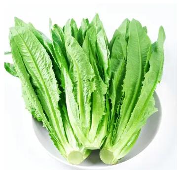 油麦菜 约500g 【BC】【XZ】 商品图0