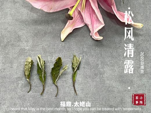 【1斤装】2022高山谷雨茶，年年都会被大多数茶友低估的一款奇茶 商品图4