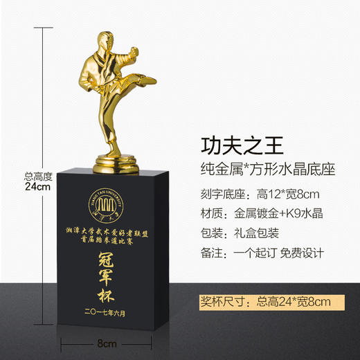 【功夫奖杯】定制定做跆拳道奖牌跆拳道奖杯武术比赛冠军纪念制作 商品图1