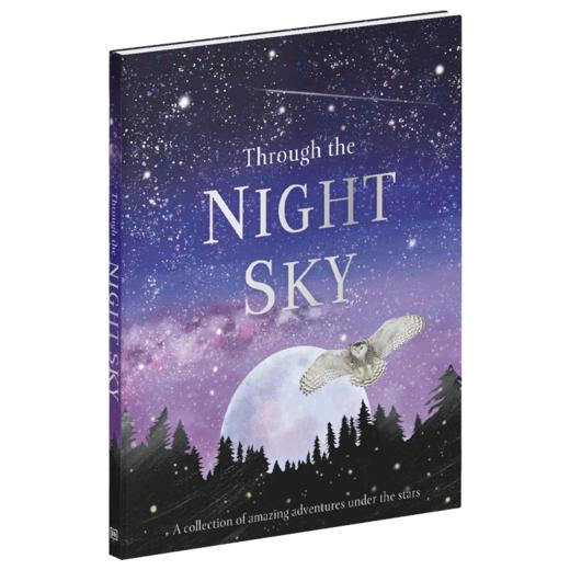 夜空观星 英文原版 Through the Night Sky 儿童天文知识宇宙图解百科 精装 英文版进口原版英语书籍 商品图1