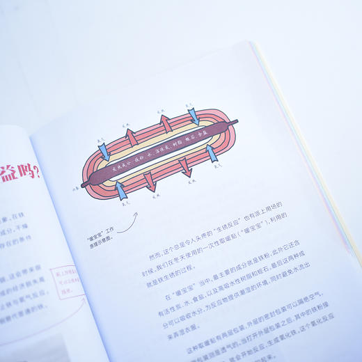 给少年的科学书 炫丽啊化学  果壳少年 学科科普 化学 阅读笔记 科学话题 考点归纳  商品图4