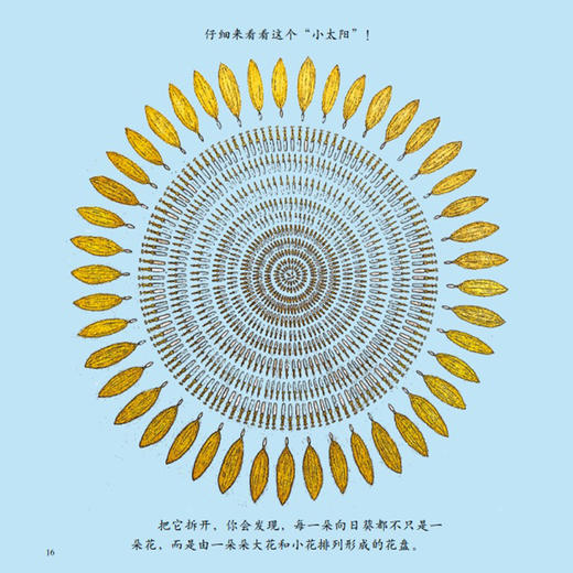 《中国故事·植物篇》（全10册） 商品图13