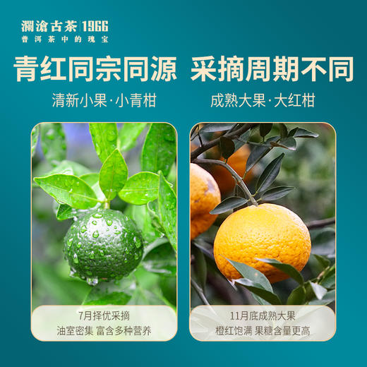【12月会员日专属】  澜沧古茶青柑红柑 冬至暖心礼-1000元套组 商品图1