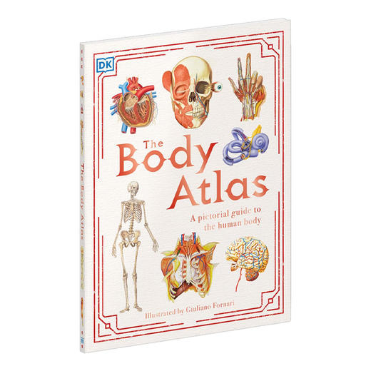 身体图集 探索人体奥秘 英文原版 The Body Atlas 人体图解百科 DK 少儿英语科普读物 英文版进口原版书籍 商品图0