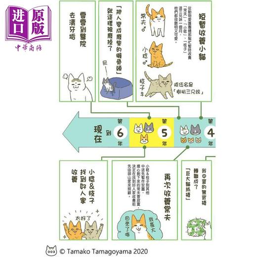 【中商原版】我家的猫又在干怪事了 05 港台原版 卵山玉子 尖端出版社 绘本 人气猫咪随笔漫画 商品图3