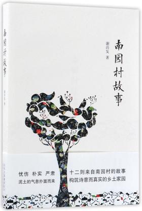 南园村故事