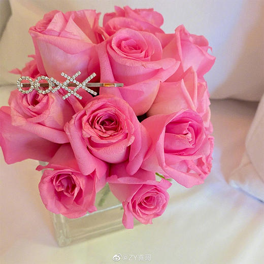 特价秒杀 Sei Carina Y ooxx发夹大号银色 .潮快闪[福利品] 商品图1