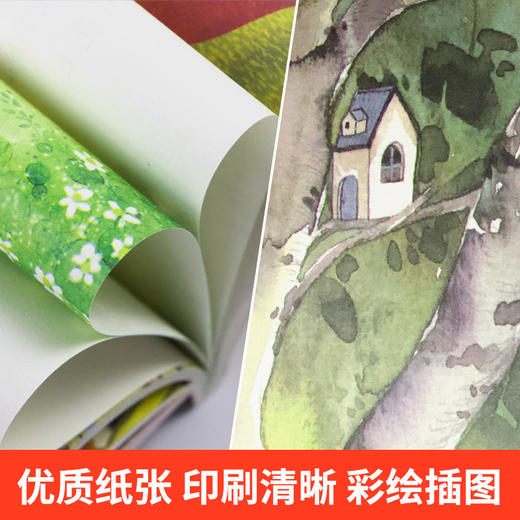 三年级课外书必读老师推荐上册课文作家作品系列全套人教版3 胡萝卜先生的长胡子去年的树在牛肚子里旅行金色的草地人民教育出版社 商品图3