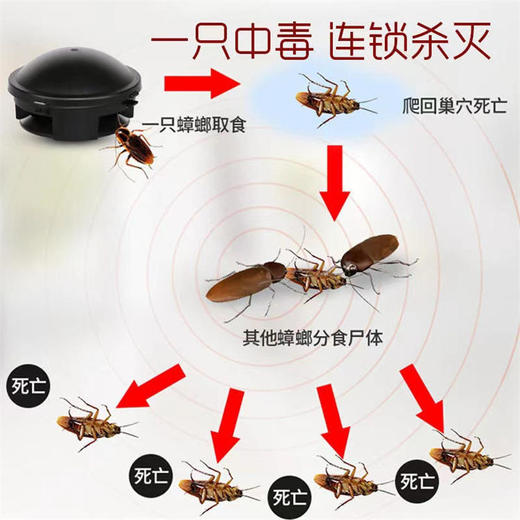 日本小强一锅端家用捕捉神器灭蟑螂屋有效灭蟑螂蟑螂药 商品图2