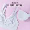 雅黛丽小胸聚拢内衣无痕性感美背夏季文胸无钢圈收副乳防下垂胸罩 商品缩略图2