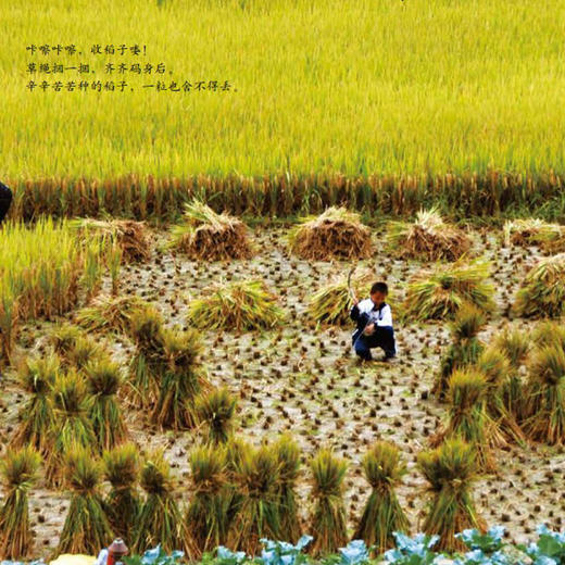 《中国故事·植物篇》（全10册） 商品图9