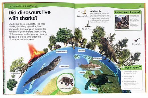 恐龙会吼叫吗 英文原版 Does a Dinosaur Roar DK 恐龙百科科普读物 儿童英语课外阅读书籍 英文版进口原版书 商品图2