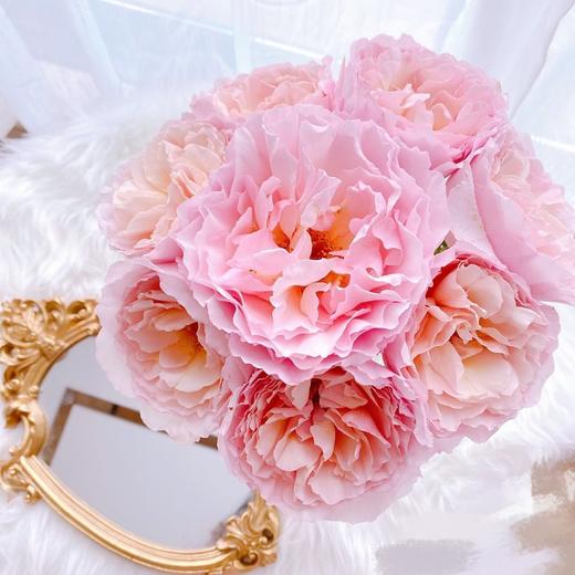 肯尼亚进口花园玫瑰花Princess charlene夏琳公主12支 商品图3