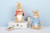 【限定礼盒】英国PETER RABBIT 比得兔120周年限定毛绒公仔中号25cm  比得兔/弗洛普西/本杰明/比得兔夫人 商品缩略图1