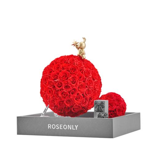 【告白神器】ROSEONLY诺誓 高端定制-甜心兔的玫瑰星球-红色 商品图1