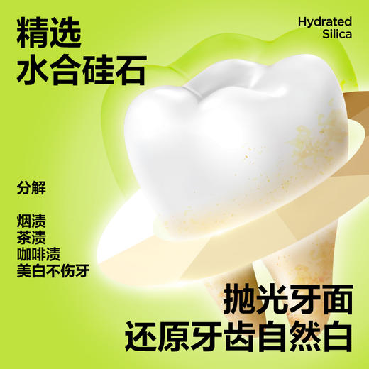 参半益生菌洁白牙膏、冰感牙膏 120g 商品图5