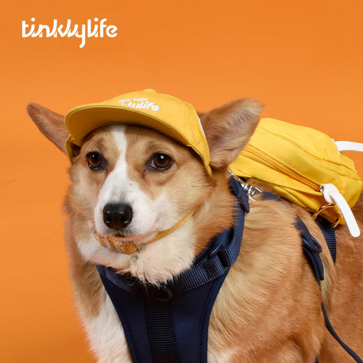 Tinklylife RAINBOW彩虹系列 宠物棒球帽 商品图7