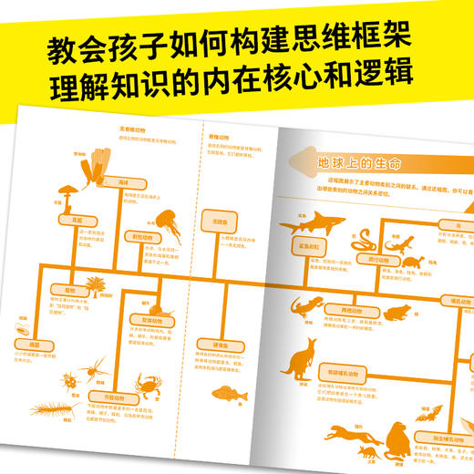 【5-10岁】DK小科学馆(全11册) 每个孩子都应该拥有的知识宝库 儿童立体科学思维 小学生宇宙地理恐龙生物人文知识大百科全书 中信 商品图3