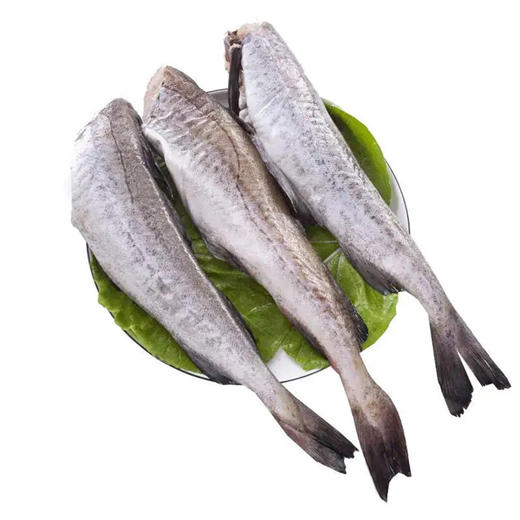 【10元2斤】明太鱼（鳕鱼）（1500152） 商品图0