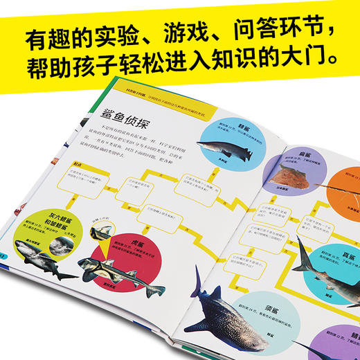 【5-10岁】DK小科学馆(全11册) 每个孩子都应该拥有的知识宝库 儿童立体科学思维 小学生宇宙地理恐龙生物人文知识大百科全书 中信 商品图4