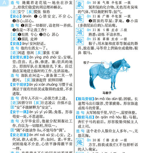 (仓发) 小学生全功能大字典 新课标部编版  小学生多功能字典  2020年新版中小学生专用辞书工具书字典词典小学生工具书/商务印书馆国际有限公司/庞晨光/9787517606444 商品图4