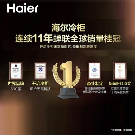 海尔（Haier）冰柜家用小型一级能效卧式单温冷柜商用保鲜冷藏冷冻转换 BC/BD-100GHZ丨带食品筐丨约冻140斤 商品图1
