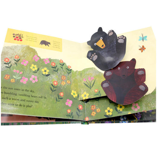 在大山 英文原版 On the Mountain 自然动物主题认知 精装3D翻翻书 儿童英语启蒙科普百科图画书 英文版进口原版书籍 精装 商品图3