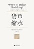 新民说  货币缩水    [美]欧文·费雪/著   李佳楠/译   易方程式  费雪方程式   货币的购买力 货币战争    广西师范大学出版社 商品缩略图2