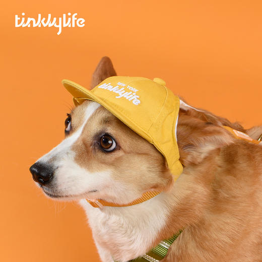Tinklylife RAINBOW彩虹系列 宠物棒球帽 商品图8