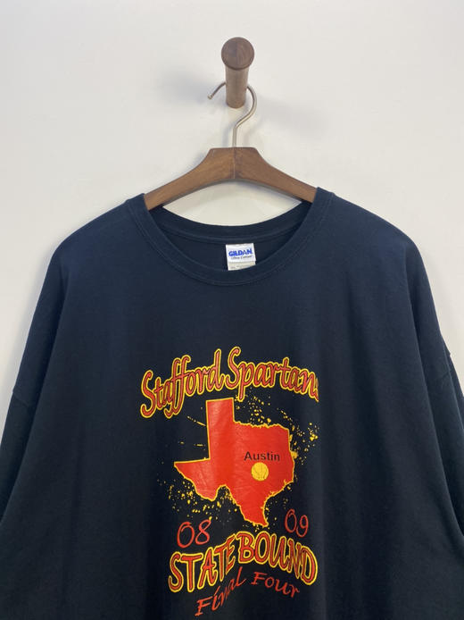 Y2K Vintage 厚款 GILDAN 短袖T恤 _PST(3XL) 商品图3