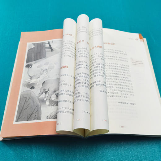 森林报(夏彩插励志版无障碍阅读)/中小学生阅读指导丛书 商品图3