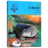 巨蜥母亲(升级版)/动物小说大王沈石溪品藏书系 商品缩略图0
