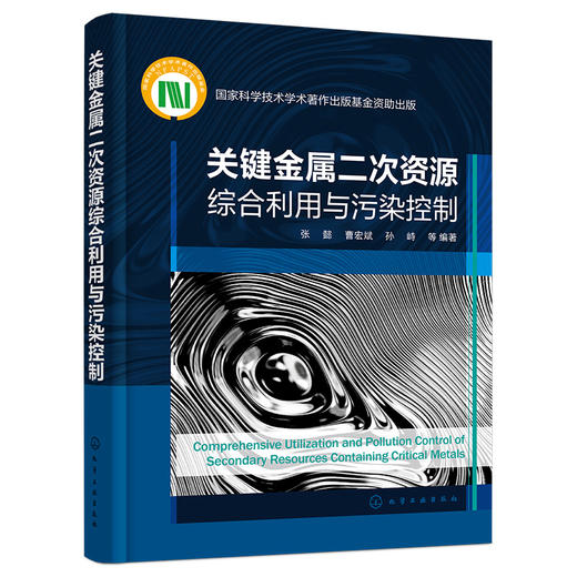 关键金属二次资源综合利用与污染控制 商品图1