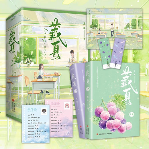 藏夏 艾鱼 著 青春文学 商品图2
