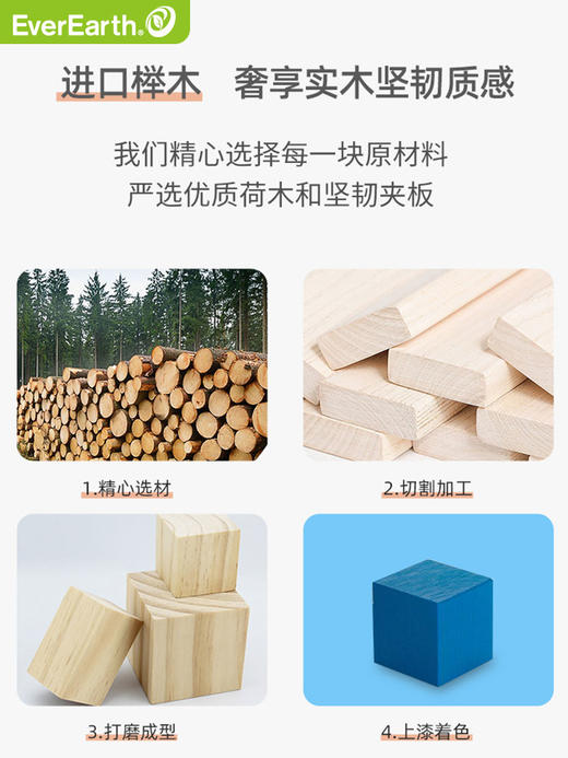 德国EverEarth 百变拼搭积木50粒单品 儿童宝宝早教益智木质拼搭积木玩具一岁宝积木 商品图3